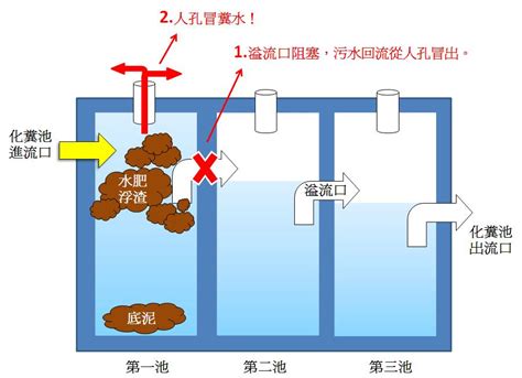 化糞池